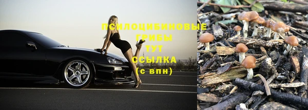прущая мука Корсаков