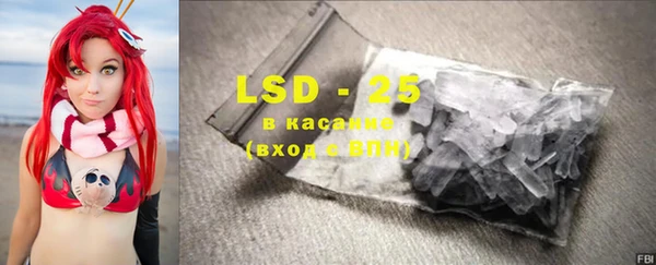 сатива Коряжма