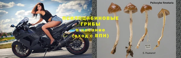 прущая мука Корсаков