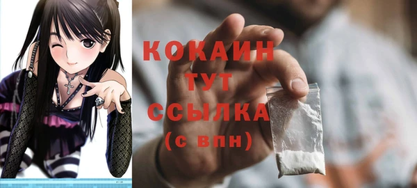 сатива Коряжма