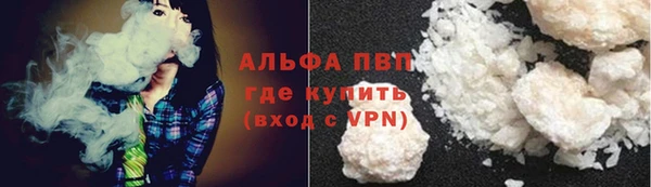 сатива Коряжма