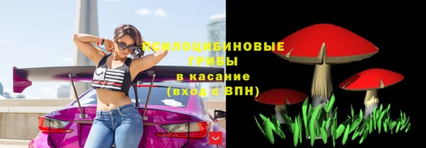 трава Костерёво