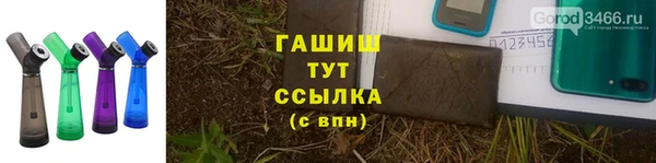 сатива Коряжма