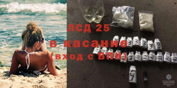 сатива Коряжма