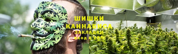 прущая мука Корсаков