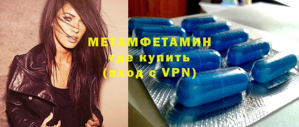 сатива Коряжма