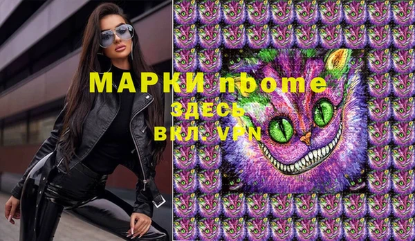 сатива Коряжма