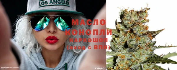 сатива Коряжма