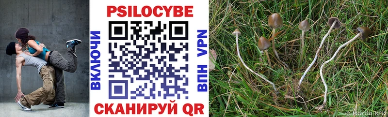 где купить наркотик  Усолье  Псилоцибиновые грибы GOLDEN TEACHER 